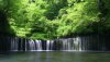Nature HD Wallpapers-TheWindowsForum.com__20.jpg