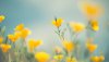Ultra HD 4K Wallpapers-TheWindowsForum.com__005.jpg