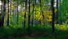 Nature HD Wallpapers-TheWindowsForum.com__1.jpg