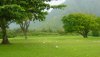 Nature HD Wallpapers-TheWindowsForum.com__3.jpg