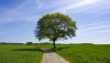 Nature HD Wallpapers-TheWindowsForum.com__7.jpg