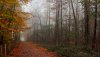 Nature HD Wallpapers-TheWindowsForum.com__9.jpg