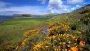 Nature HD Wallpapers-TheWindowsForum.com__14.jpg