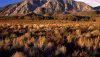 Nature HD Wallpapers-TheWindowsForum.com__15.jpg
