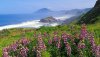 Nature HD Wallpapers-TheWindowsForum.com__17.jpg