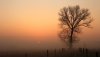 Ultra HD 4K Wallpapers-TheWindowsForum.com__053.jpg