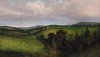 Nature HD Wallpapers-TheWindowsForum.com__5.jpg