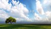 Nature HD Wallpapers-TheWindowsForum.com__9.jpg