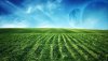 Nature HD Wallpapers-TheWindowsForum.com__10.jpg