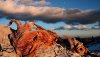 Nature HD Wallpapers-TheWindowsForum.com__12.jpg