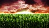 Nature HD Wallpapers-TheWindowsForum.com__21.jpg