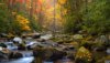 Nature HD Wallpapers-TheWindowsForum.com__13.jpg