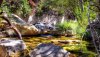 Nature HD Wallpapers-TheWindowsForum.com__6.jpg