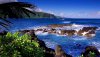 Nature HD Wallpapers-TheWindowsForum.com__19.jpg