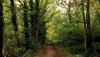 Nature HD Wallpapers-TheWindowsForum.com__20.jpg