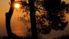 Nature HD Wallpapers-TheWindowsForum.com__21.jpg