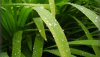 Nature HD Wallpapers-TheWindowsForum.com__7.jpg