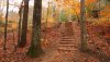 Nature HD Wallpapers-TheWindowsForum.com__14.jpg
