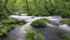 Nature HD Wallpapers-TheWindowsForum.com__17.jpg