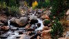 Nature HD Wallpapers-TheWindowsForum.com__1.jpg