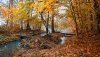 Nature HD Wallpapers-TheWindowsForum.com__10.jpg