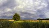 Nature HD Wallpapers-TheWindowsForum.com__12.jpg