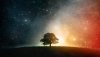 Nature HD Wallpapers-TheWindowsForum.com__13.jpg