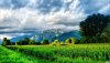 Nature HD Wallpapers-TheWindowsForum.com__14.jpg