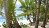 Nature HD Wallpapers-TheWindowsForum.com__15.jpg