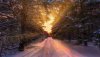 Ultra HD 4K Wallpapers-TheWindowsForum.com__077.jpg
