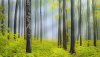 Ultra HD 4K Wallpapers-TheWindowsForum.com__078.jpg