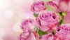 Ultra HD 4K Wallpapers-TheWindowsForum.com__090.jpg