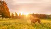 Ultra HD 4K Wallpapers-TheWindowsForum.com__093.jpg