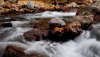 Nature HD Wallpapers-TheWindowsForum.com__4.jpg