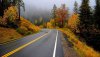 Nature HD Wallpapers-TheWindowsForum.com__12.jpg