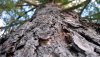 Nature HD Wallpapers-TheWindowsForum.com__5.jpg