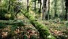 Nature HD Wallpapers-TheWindowsForum.com__17.jpg