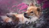 Ultra HD 4K Wallpapers-TheWindowsForum.com__027.jpg