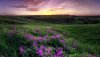 Ultra HD 4K Wallpapers-TheWindowsForum.com__079.jpg