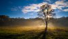 Ultra HD 4K Wallpapers-TheWindowsForum.com__086.jpg
