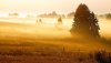 Ultra HD 4K Wallpapers-TheWindowsForum.com__054.jpg