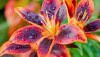 Ultra HD 4K Wallpapers-TheWindowsForum.com__057.jpg