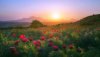 Ultra HD 4K Wallpapers-TheWindowsForum.com__060.jpg