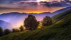 Ultra HD 4K Wallpapers-TheWindowsForum.com__062.jpg