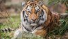Ultra HD 4K Wallpapers-TheWindowsForum.com__065.jpg