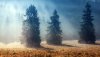 Ultra HD 4K Wallpapers-TheWindowsForum.com__070.jpg
