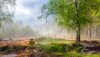 Ultra HD 4K Wallpapers-TheWindowsForum.com__092.jpg