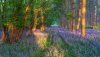 Ultra HD 4K Wallpapers-TheWindowsForum.com__097.jpg