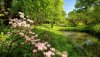Ultra HD 4K Wallpapers-TheWindowsForum.com__002.jpg