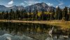 Ultra HD 4K Wallpapers-TheWindowsForum.com__017.jpg